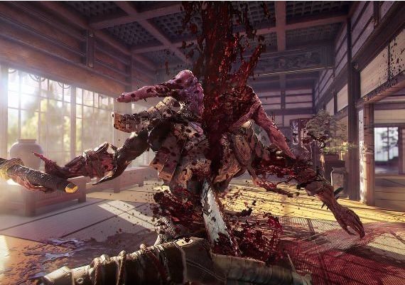 Shadow Warrior 2 EN/DE/FR/PL/PT/RU/ZH/ES Global Steam Digital Key