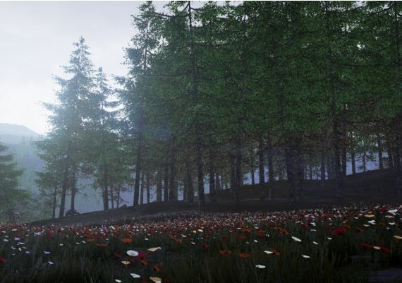 Conclusion EN/RU Global Steam Digital Key