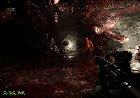 Vorax EN Global Steam Digital Key