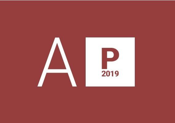 Access Professional 2019 EN Global MS Products Digital Key