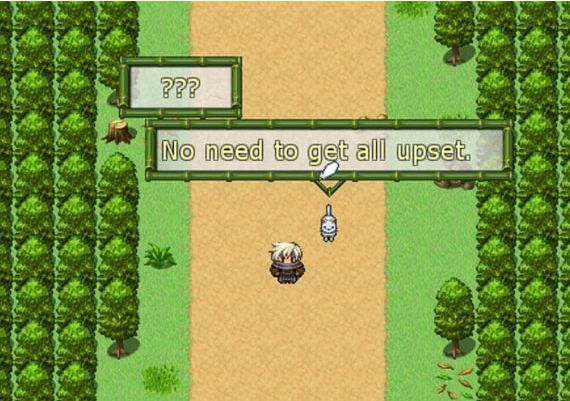 Sins Of The Demon RPG EN Global Steam Digital Key