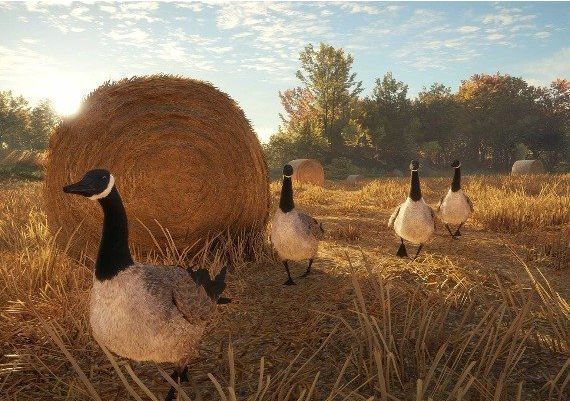 theHunter: Call of the Wild - Silver Bundle EN/DE/FR/IT/PT/ES Global Steam Digital Key