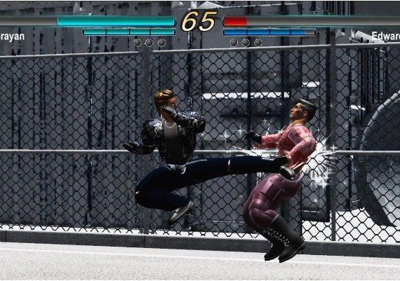 Unlimited Fight EN Global Steam Digital Key