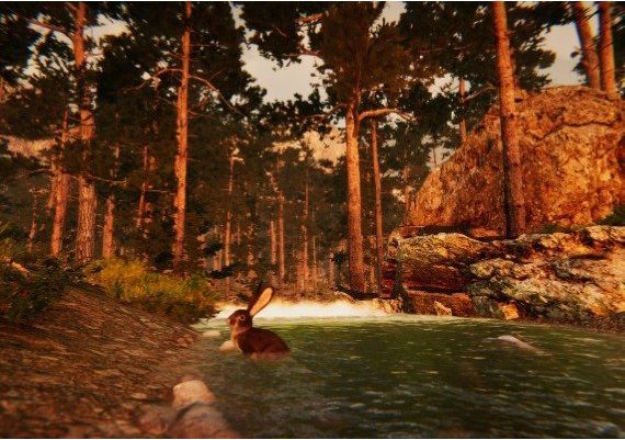 Animal Simulator EN/CS Global Steam Digital Key