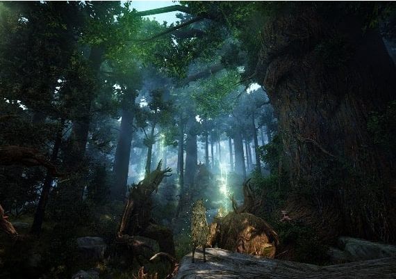 Black Desert Online - Steam Account EN Global Steam Digital Key