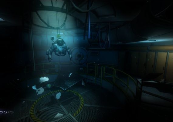 Narcosis Global Steam Digital Key