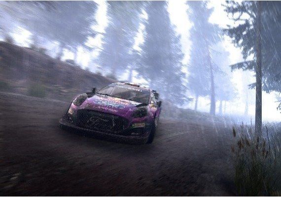WRC: Generations - Porsche 911 GT3 RS RGT Extra liveries DLC Global Steam Digital Key