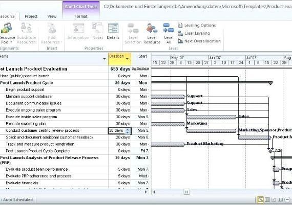 Project Professional 2010 Global MS Products Digital Key