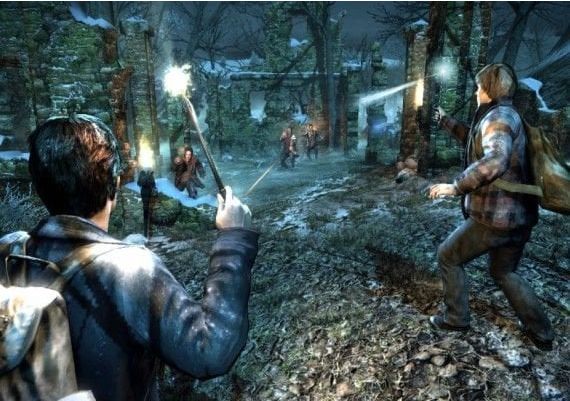 Harry Potter and the Deathly Hallows Part 1 EN Global EA App Digital Key