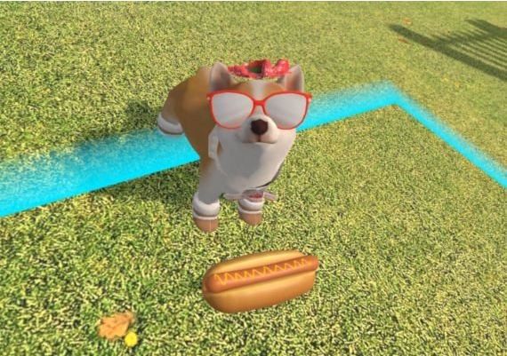 Dream Pets VR EN/JA Global Steam Digital Key