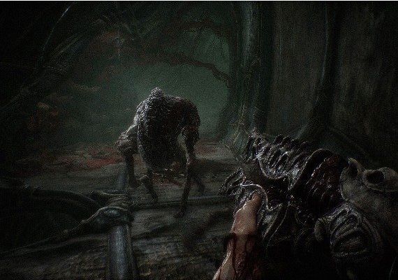 Scorn EN Argentina Xbox Series/Windows Digital Key