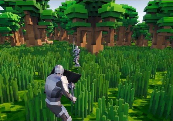 Hurricane EN Global Steam Digital Key