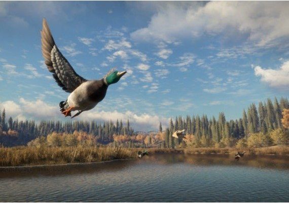 theHunter: Call of the Wild - Diamond Bundle Argentina Xbox One/Series Digital Key