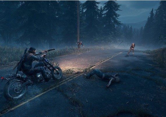 Days Gone EU Steam Digital Key