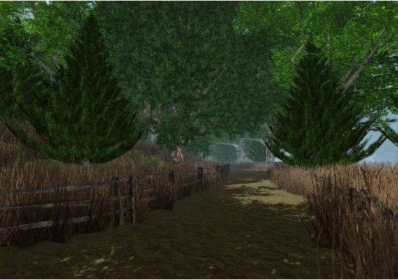 Dragon Storm EN Global Steam Digital Key