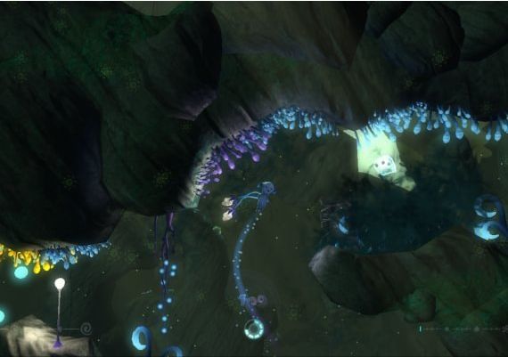 The UnderGarden EN/DE/FR Global Steam Digital Key