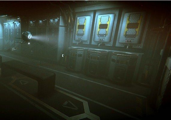 Sstr EN Global Steam Digital Key