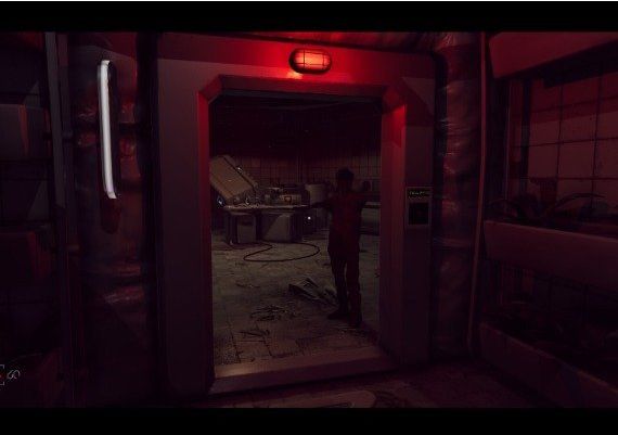 The Voidness EN Global Steam Digital Key