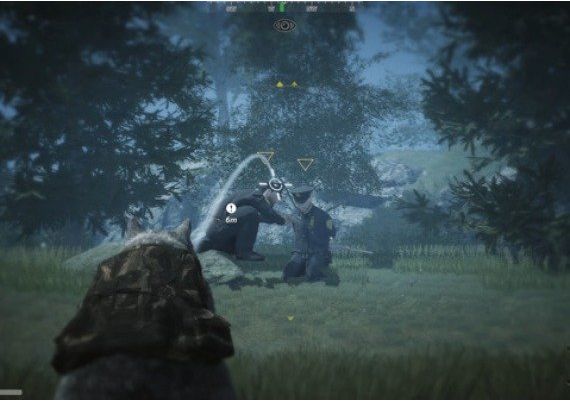 Wanted Raccoon EN Global Steam Digital Key