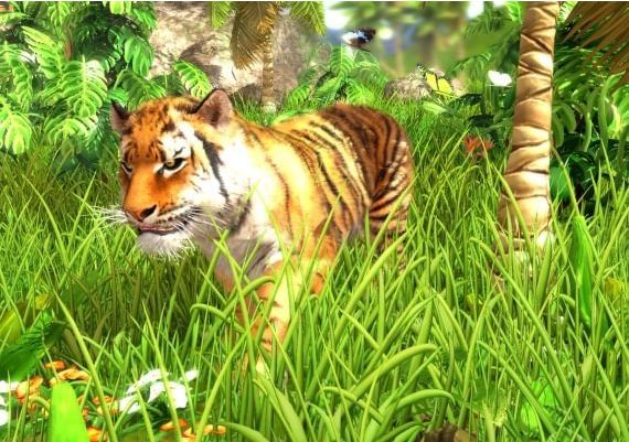 Wildlife Park 3 EN/DE/FR/IT/PL/CS/ZH Global Steam Digital Key