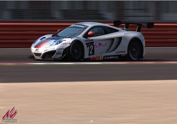 Assetto Corsa EN/IT Asia Steam Digital Key