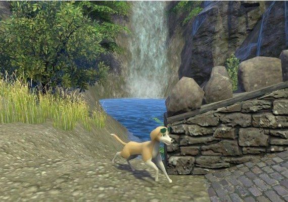 The Good Life EN Global Steam Digital Key