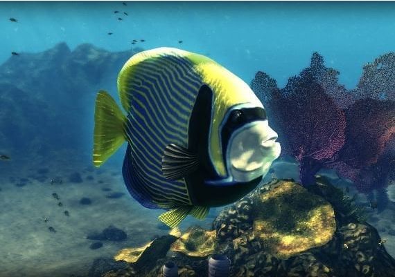 Depth Hunter 2: Deep Dive EN/DE Global Steam Digital Key