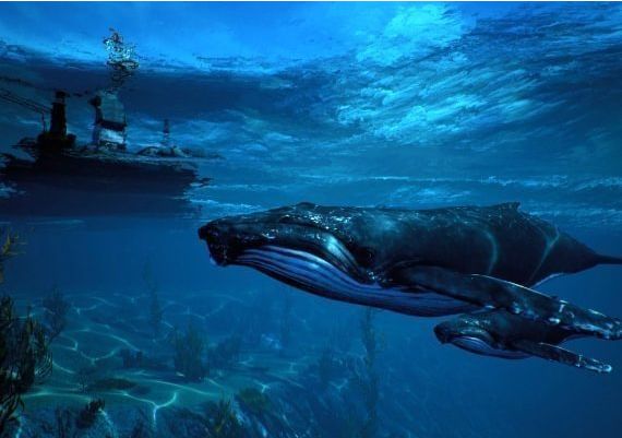 Maneater: Truth Quest DLC EN Argentina Xbox One/Series Digital Key