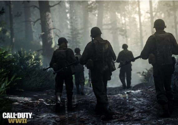 CoD Call of Duty: World War II WWII - Endowment Fear Not Pack DLC Global Steam Digital Key