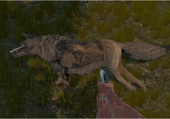 Ohota Krepkoe - Soundtrack DLC EN Global Steam Digital Key