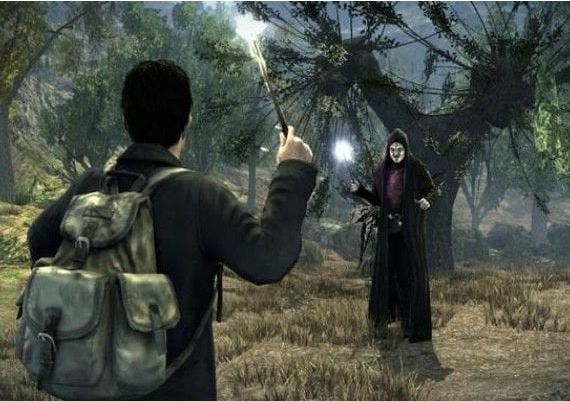 Harry Potter and the Deathly Hallows Part 1 EN Global EA App Digital Key