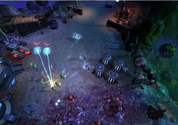 Tryst EN Global Steam Digital Key