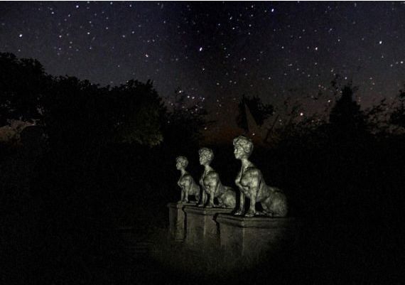 White Noise Online EN/ES Global Steam Digital Key