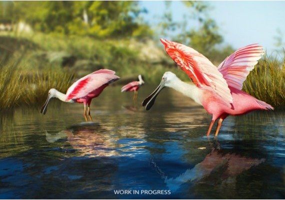 Birding Simulator: Bird Photographer PRE-ORDER Global Steam Digital Key