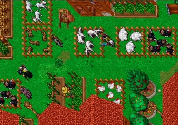 Ravendawn - RavenCoins 17500 RavenCoins Official website Digital Key