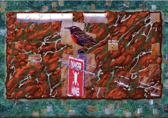 Pixel Puzzles 2: Birds EN Global Steam Digital Key