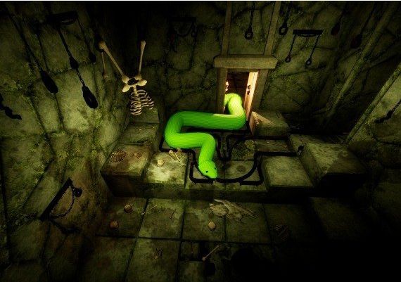 Temple Of Snek EN/FR/RU/ZH/ES/ZH Global Steam Digital Key