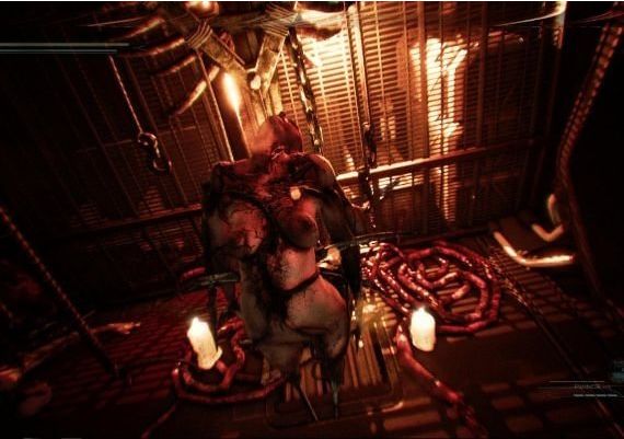 Hollow Global Steam Digital Key