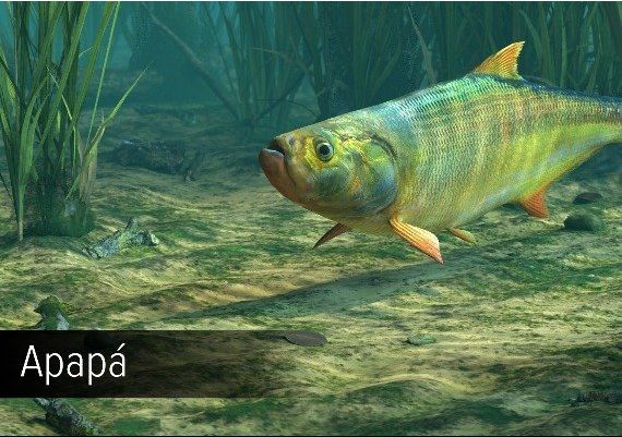 Ultimate Fishing Simulator - Amazon River DLC Global Steam Digital Key