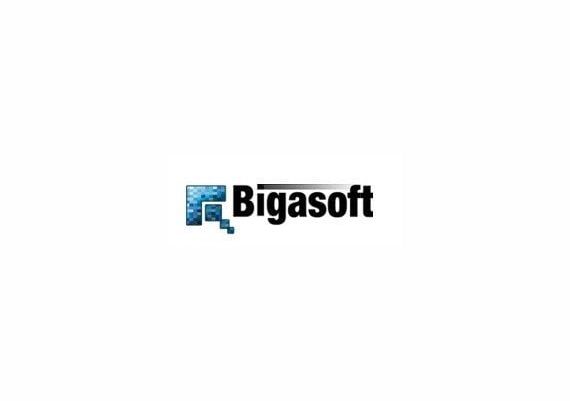 Bigasoft: Audio Converter EN Global Software License Digital Key