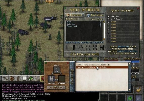 Eschalon: Book II EN Global Steam Digital Key