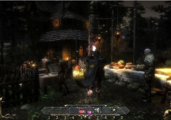 Two Worlds II: Call of the Tenebrae DLC EN Global Steam Digital Key