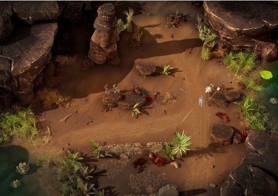 Gray Zone Global Steam Digital Key