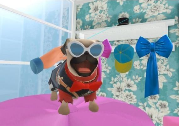 Dream Pets VR EN/JA Global Steam Digital Key