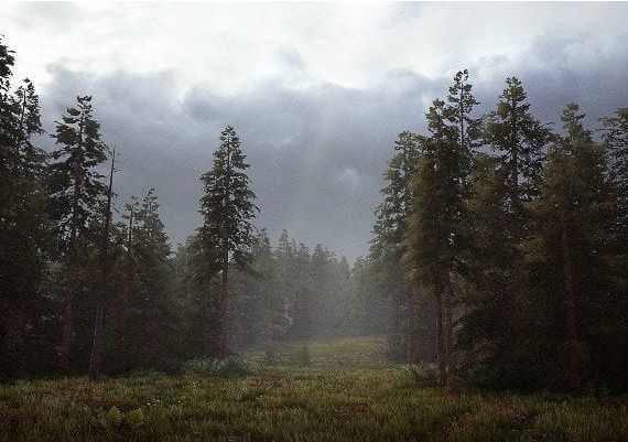 Hunting Simulator 2 EN/FR Argentina Xbox Series Digital Key