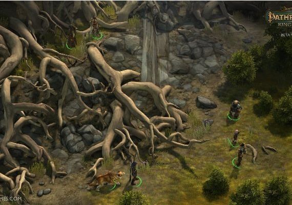 Pathfinder: Kingmaker Imperial Edition EN/DE/FR EU Steam Digital Key