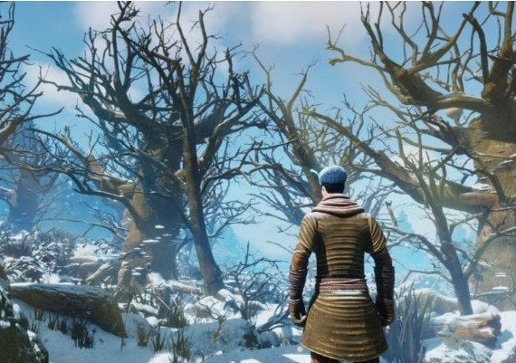 Smalland: Survive the Wilds EN EU PS5 Digital Key