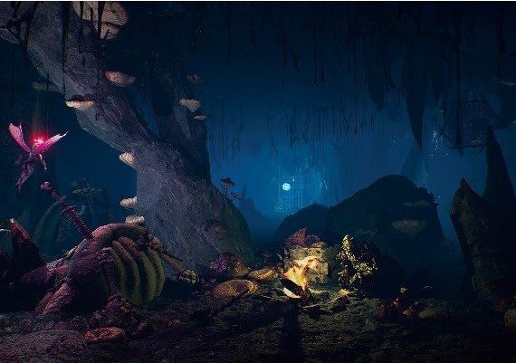 Arboria EN Global Steam Digital Key