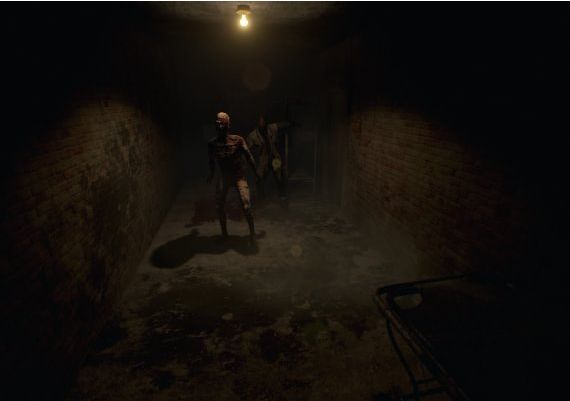 Roots of Insanity Global Steam Digital Key