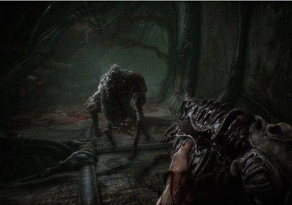 Scorn EN Turkey Xbox Series/Windows Digital Key